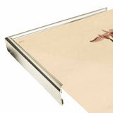 Yellowbackedwarbler-VINAPP116489 Print 20"x12.5" by Vintage Apple Collection