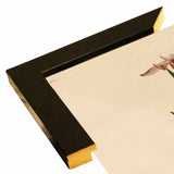 Yellowbackedwarbler-VINAPP116489 Print 20"x12.5" by Vintage Apple Collection