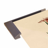 Yellowbackedwarbler-VINAPP116489 Print 20"x12.5" by Vintage Apple Collection