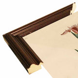 Yellowbackedwarbler-VINAPP116489 Print 20"x12.5" by Vintage Apple Collection