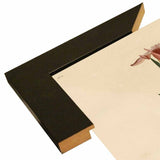 Yellowbackedwarbler-VINAPP116489 Print 20"x12.5" by Vintage Apple Collection