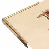 Yellowbackedwarbler-VINAPP116489 Print 20"x12.5" by Vintage Apple Collection