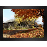 Yesteryear-WILWAY109764 Framed Print 28"x40" by Willow Way Studios, Inc.