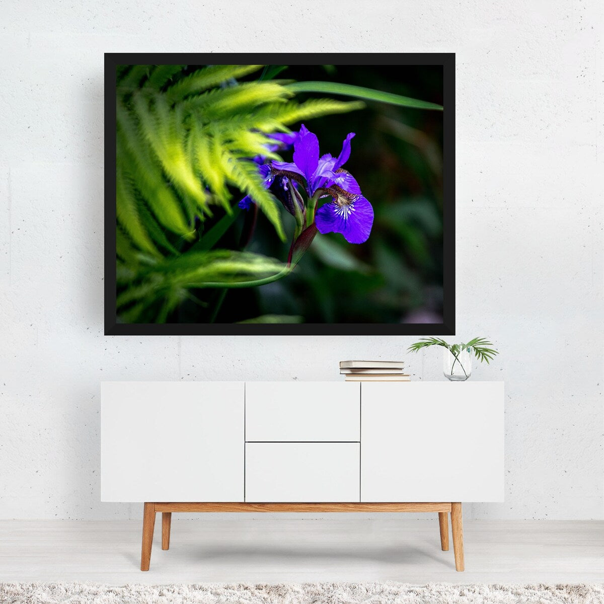 York Pennsylvania Flora Photography Botanical Fern Art Print/Poster