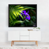 York Pennsylvania Flora Photography Botanical Fern Art Print/Poster