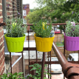 Your Choice Garden Plastic Decorative Rail Planter Set of 3 Colors 7.75x4x10H