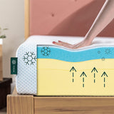 ZINUS 8 Inch Green Tea Cooling Gel Memory Foam Mattress, Cooling Gel Foam, Pressure Relieving, CertiPUR-US Certified