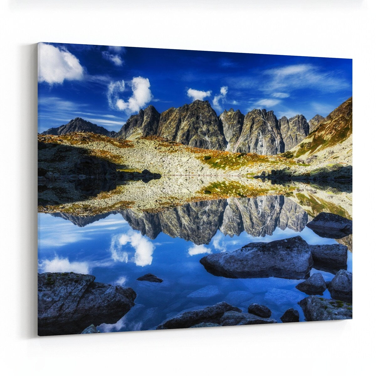 Zakopane Poland Animals Antelope Canvas Wall Art Print