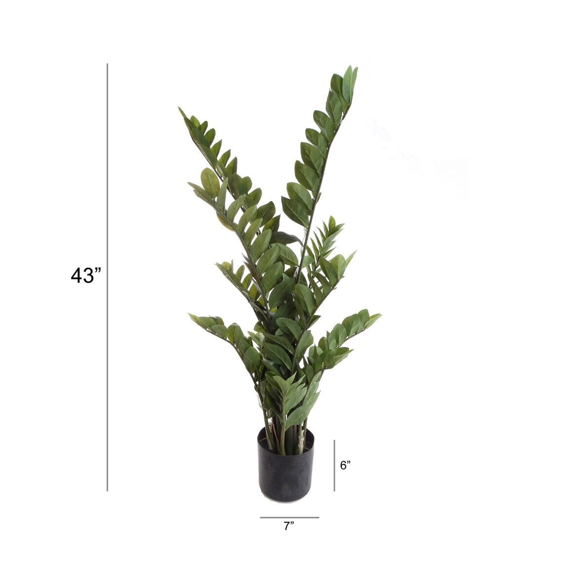 Zamifolia , 43 Inch Artificial w 220 Real Touch Leaves in Black Pot - 43 Inches