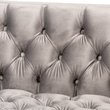 Zanetta Glam and Luxe Gray Velvet Upholstered Gold Finished 2-Piece Sofa and Lounge Chair Set