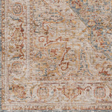Zeynepe Traditional Medallion Area Rug