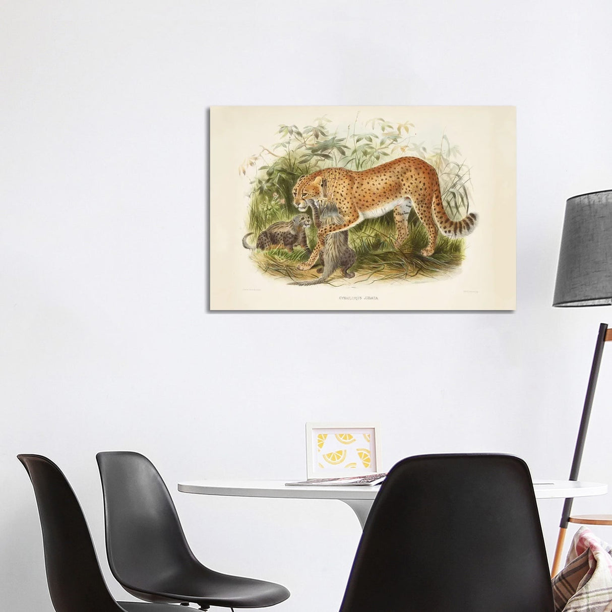 iCanvas "A Monograph Of The Felidae, Or Family Of The Cats By Daniel Giraund II" by Natural History Museum (UK) Canvas Print
