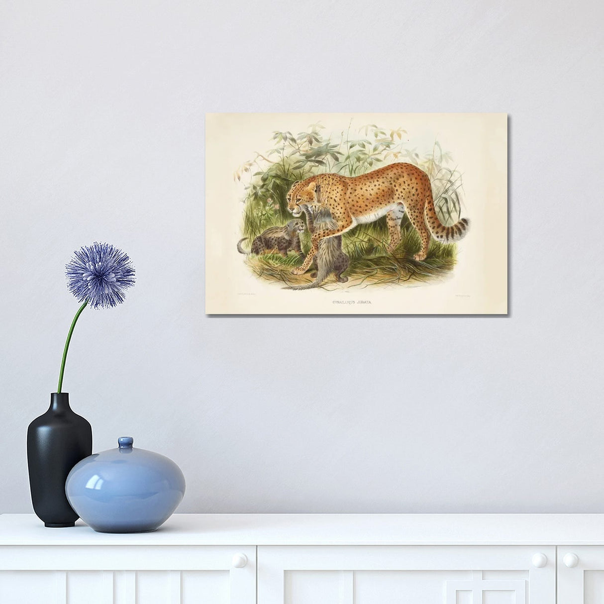 iCanvas "A Monograph Of The Felidae, Or Family Of The Cats By Daniel Giraund II" by Natural History Museum (UK) Canvas Print