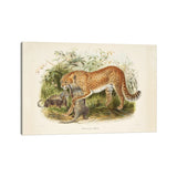 iCanvas "A Monograph Of The Felidae, Or Family Of The Cats By Daniel Giraund II" by Natural History Museum (UK) Canvas Print