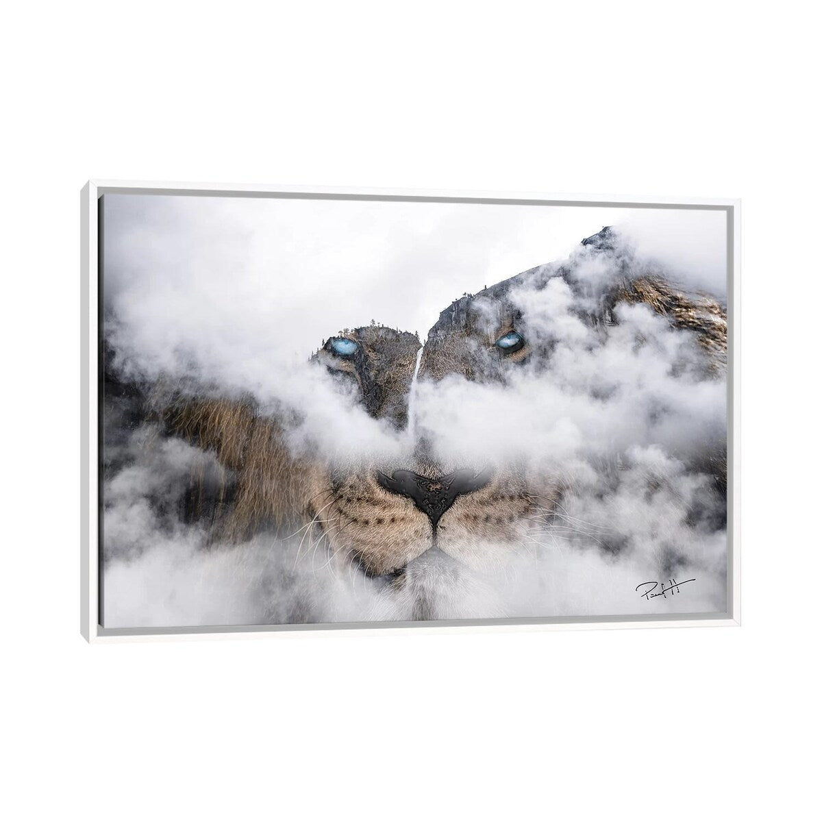 iCanvas "African Lion" by Paul Haag Framed