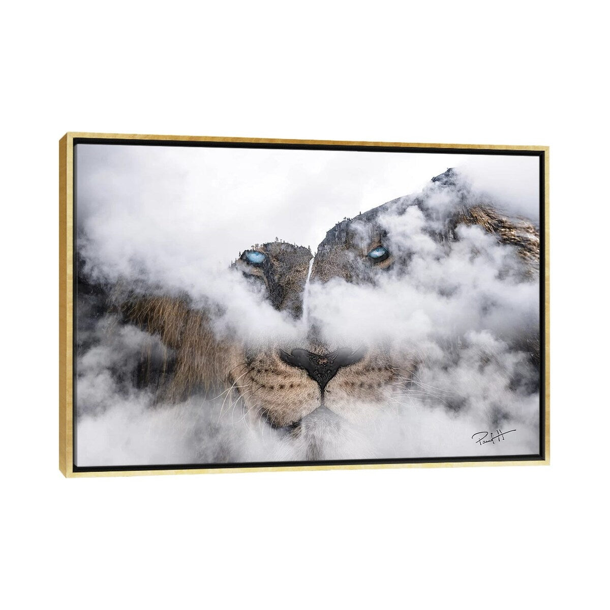 iCanvas "African Lion" by Paul Haag Framed
