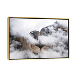 iCanvas "African Lion" by Paul Haag Framed