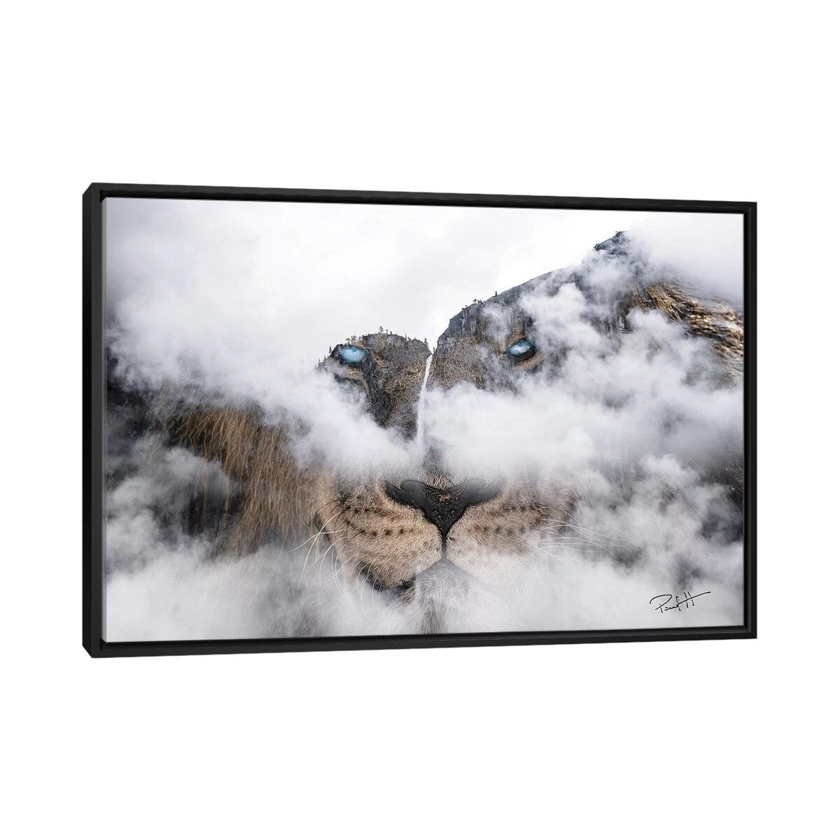 iCanvas "African Lion" by Paul Haag Framed
