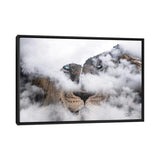 iCanvas "African Lion" by Paul Haag Framed