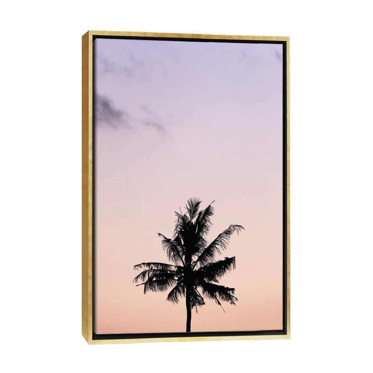iCanvas "Align" by Hannah Prewitt Framed