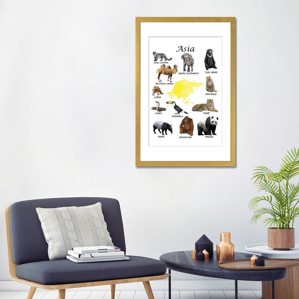 iCanvas "Asia Animals, Classroom" by Printable Lisa's Pets