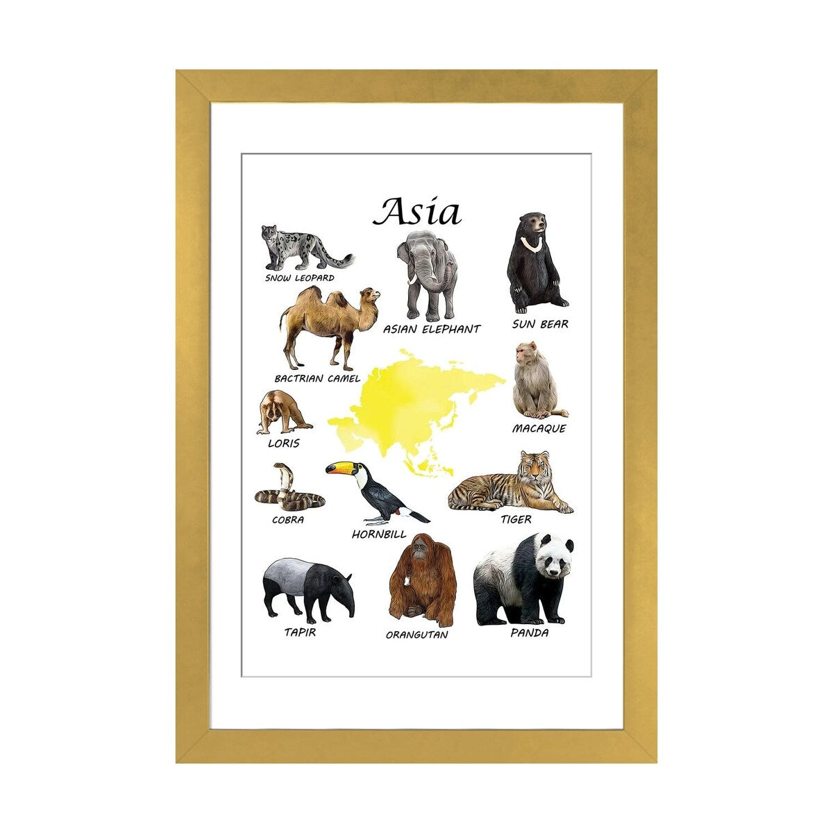 iCanvas "Asia Animals, Classroom" by Printable Lisa's Pets