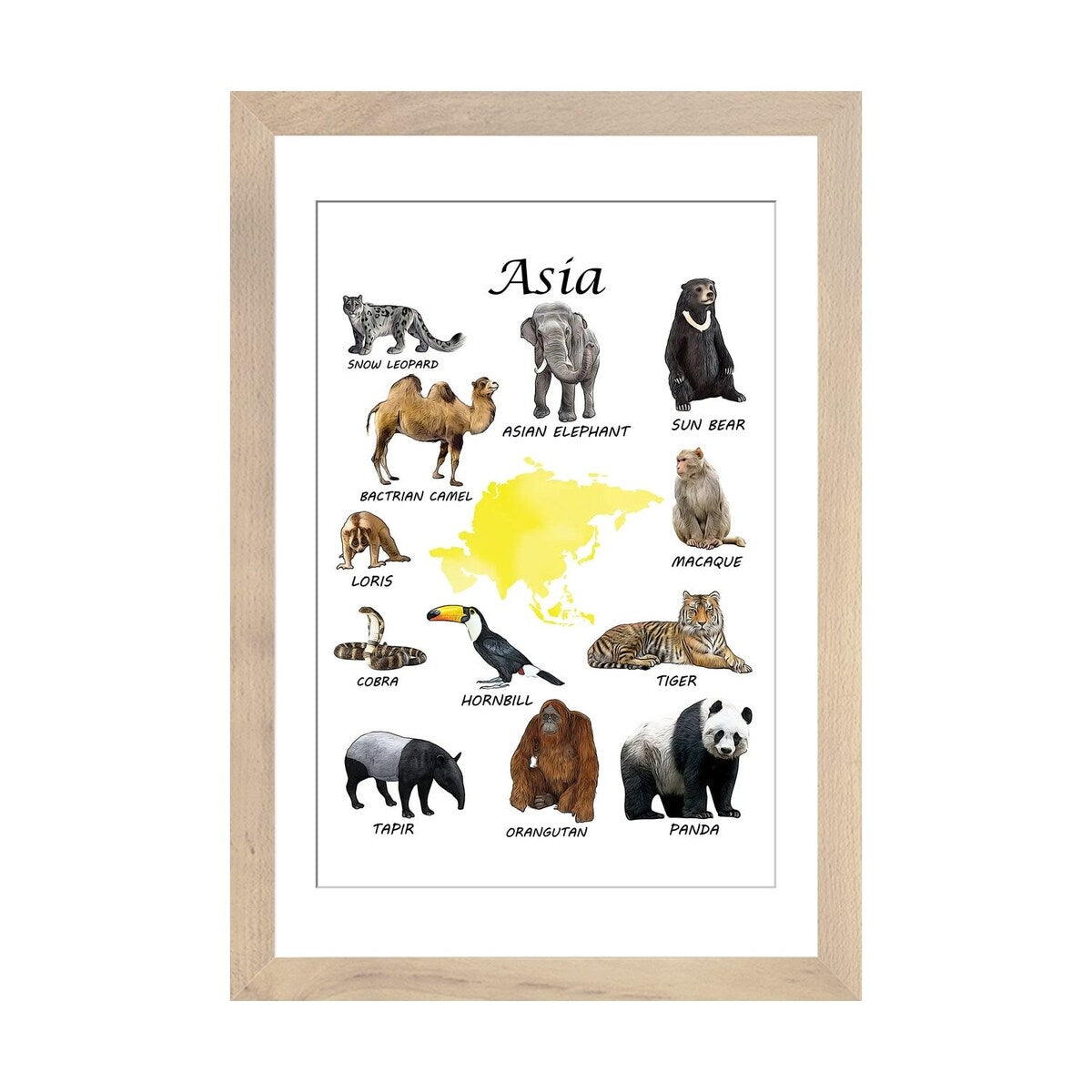 iCanvas "Asia Animals, Classroom" by Printable Lisa's Pets