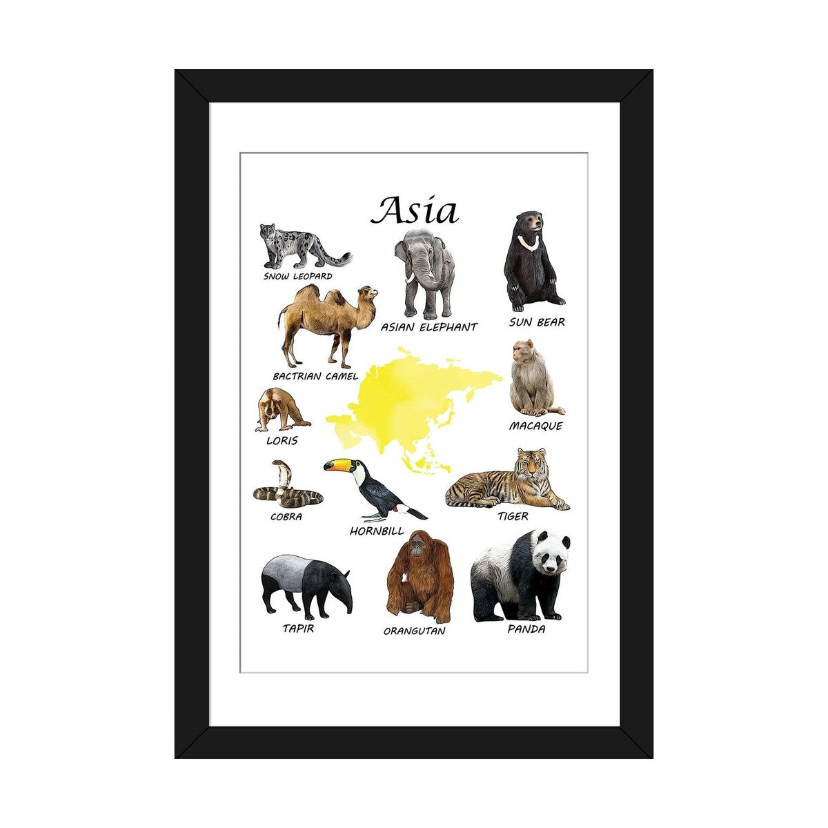 iCanvas "Asia Animals, Classroom" by Printable Lisa's Pets