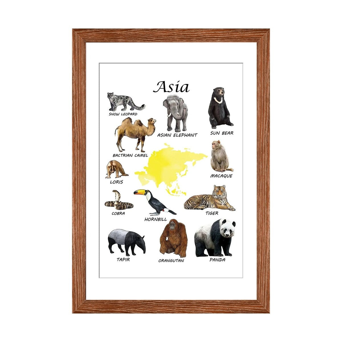 iCanvas "Asia Animals, Classroom" by Printable Lisa's Pets