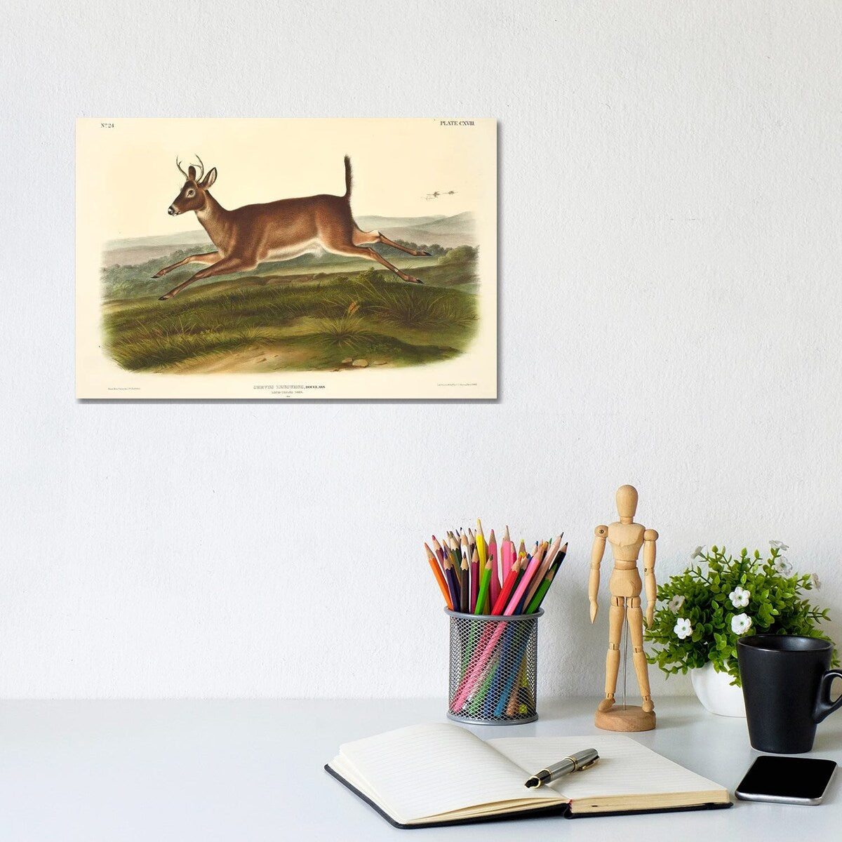 iCanvas "Audubons Mammals Vol III Long-Tailed Deer" by Natural History Museum (UK) Canvas Print
