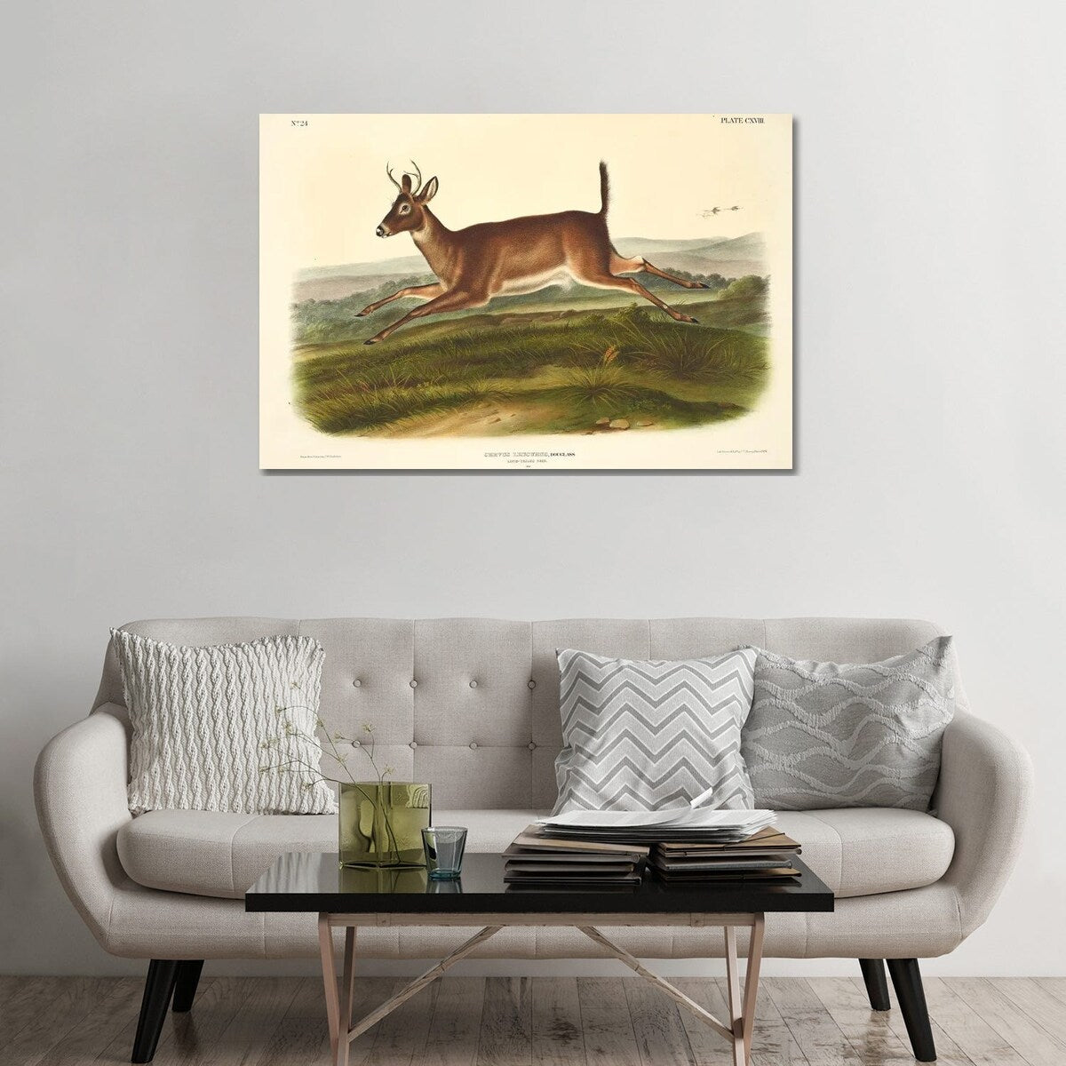 iCanvas "Audubons Mammals Vol III Long-Tailed Deer" by Natural History Museum (UK) Canvas Print