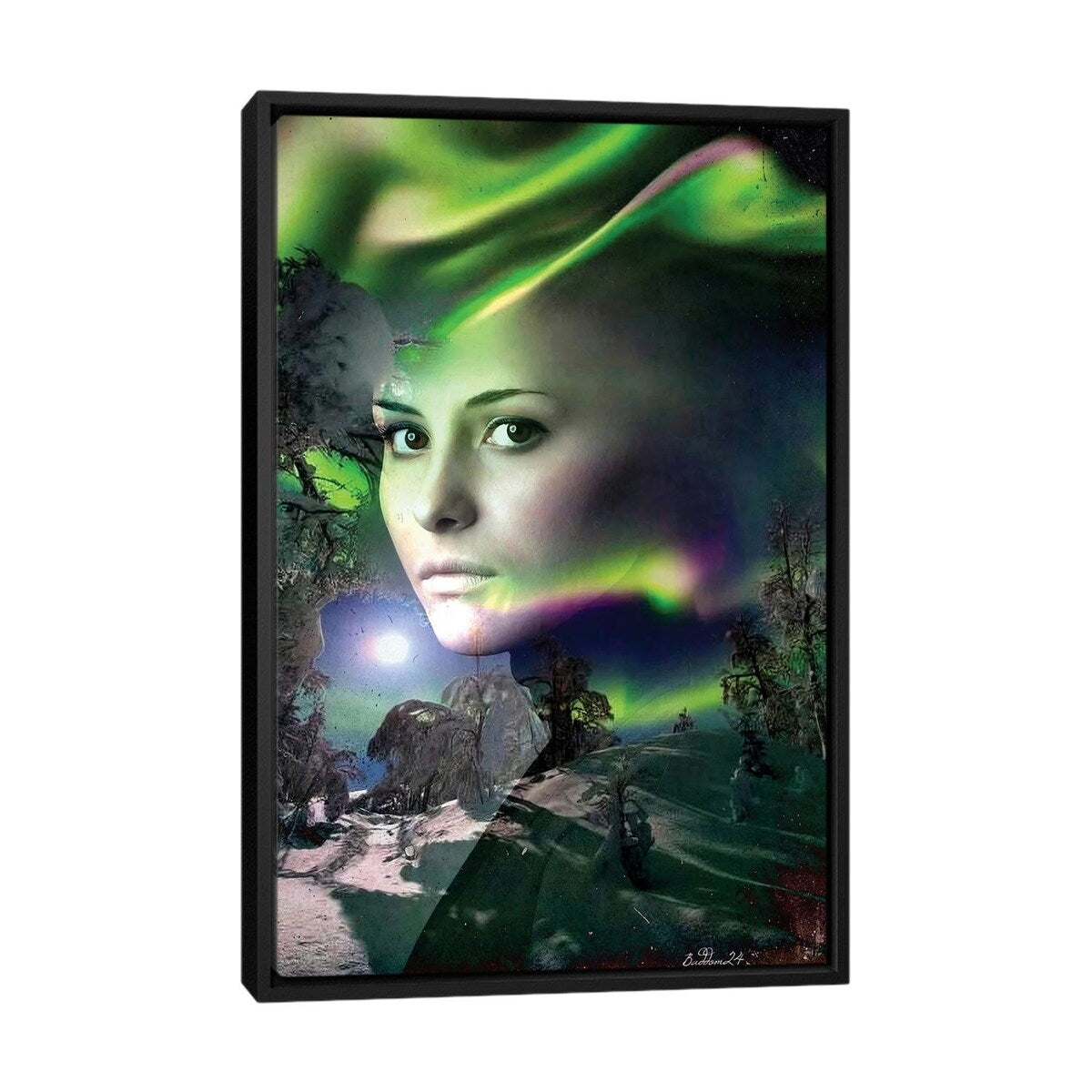 iCanvas "Aurora" by Dominique Baduel Framed