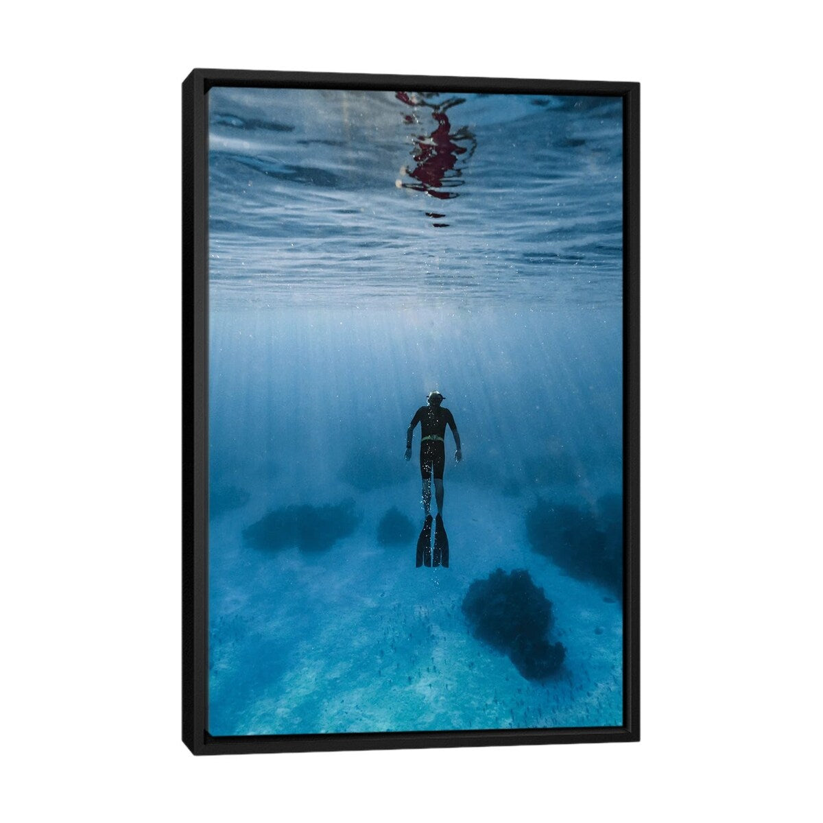iCanvas "Bahamas Clarity" by Hannah Prewitt Framed