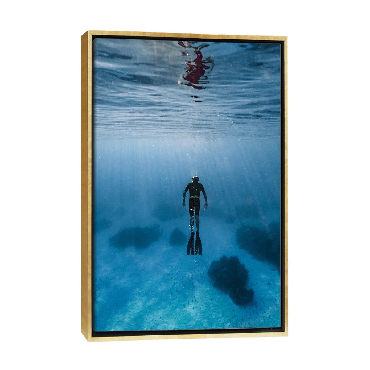 iCanvas "Bahamas Clarity" by Hannah Prewitt Framed