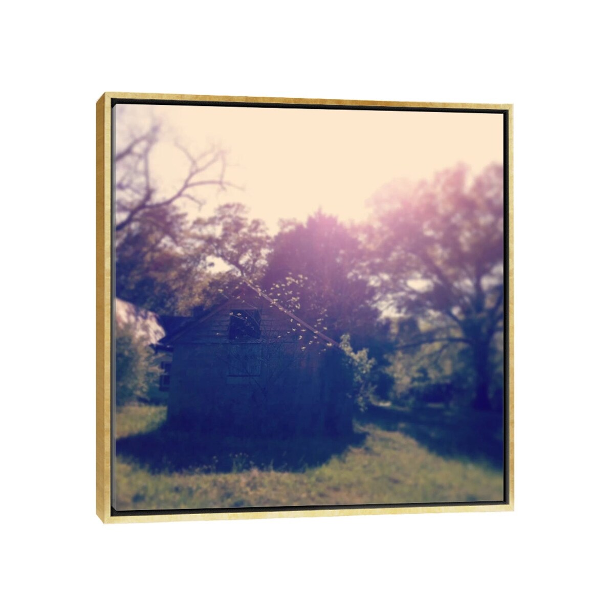 iCanvas "Barn" by Morgan Kendall Framed Canvas Print
