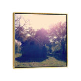 iCanvas "Barn" by Morgan Kendall Framed Canvas Print