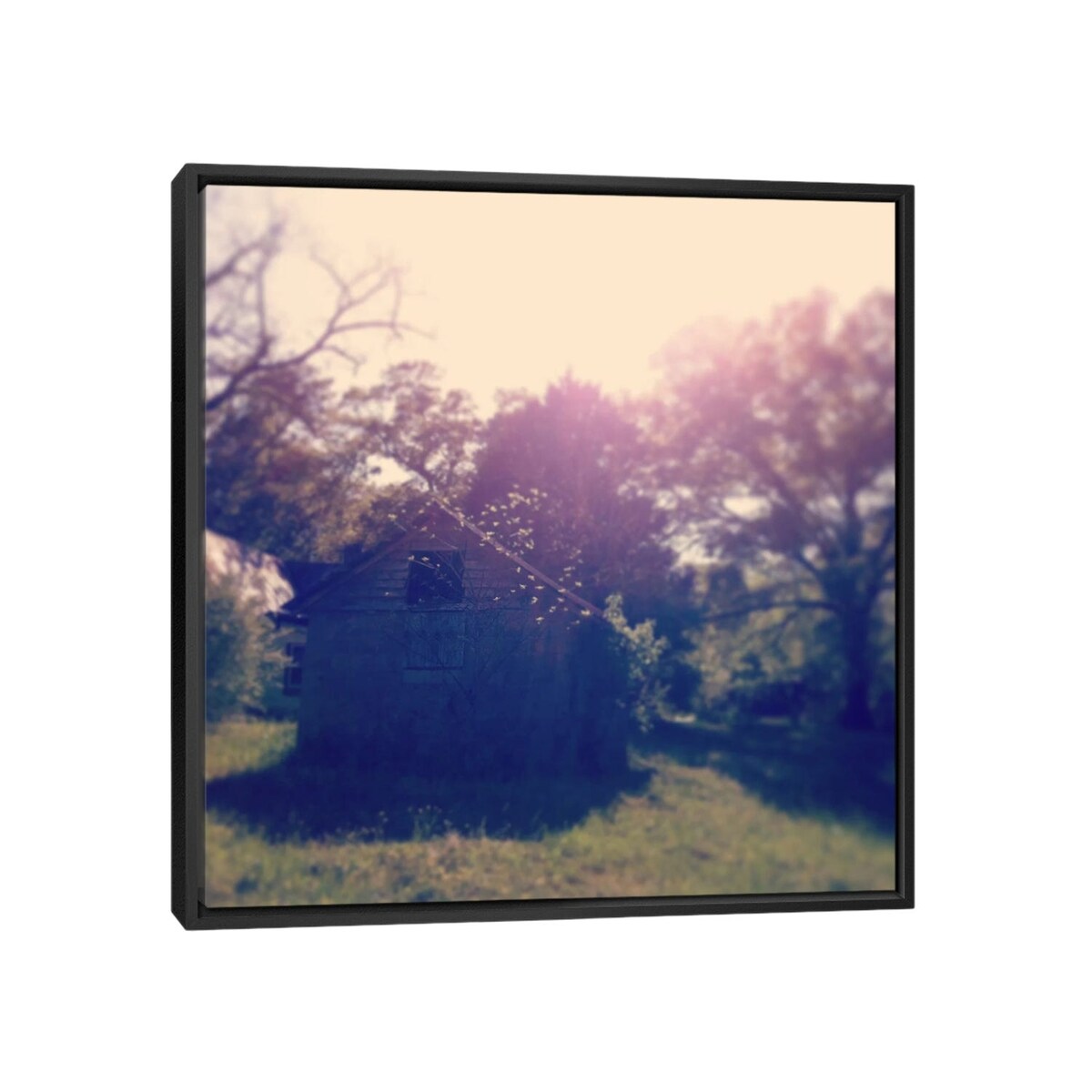 iCanvas "Barn" by Morgan Kendall Framed Canvas Print