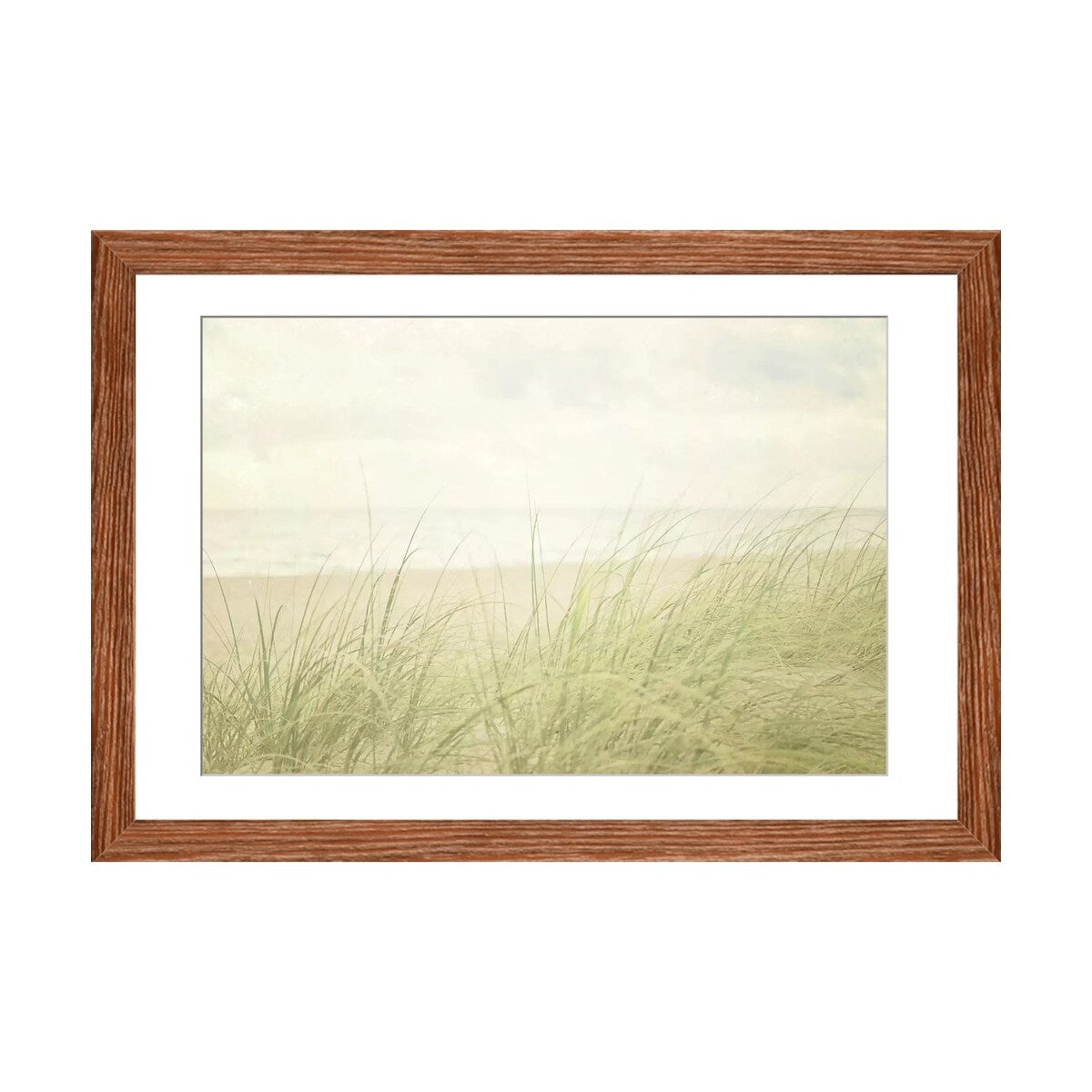 iCanvas "Beach Grass II" by Elizabeth Urquhart