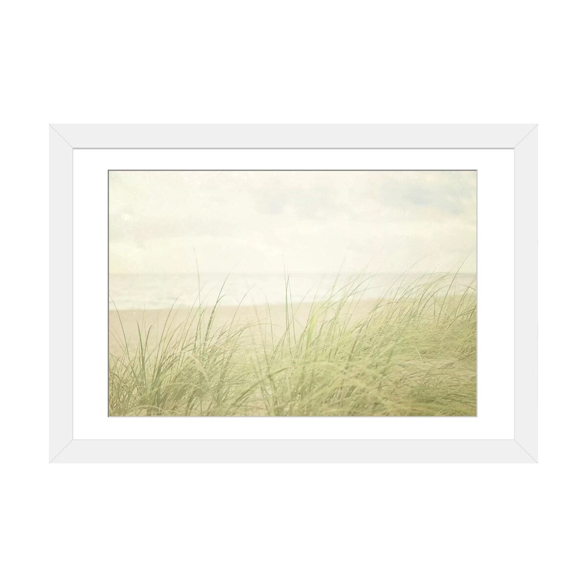 iCanvas "Beach Grass II" by Elizabeth Urquhart