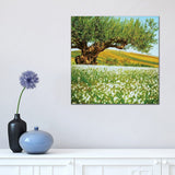 iCanvas "Beautiful Landscape Of An Old Olive Tree On The Background Of Fields" by Ievgeniia Bidiuk Canvas Print