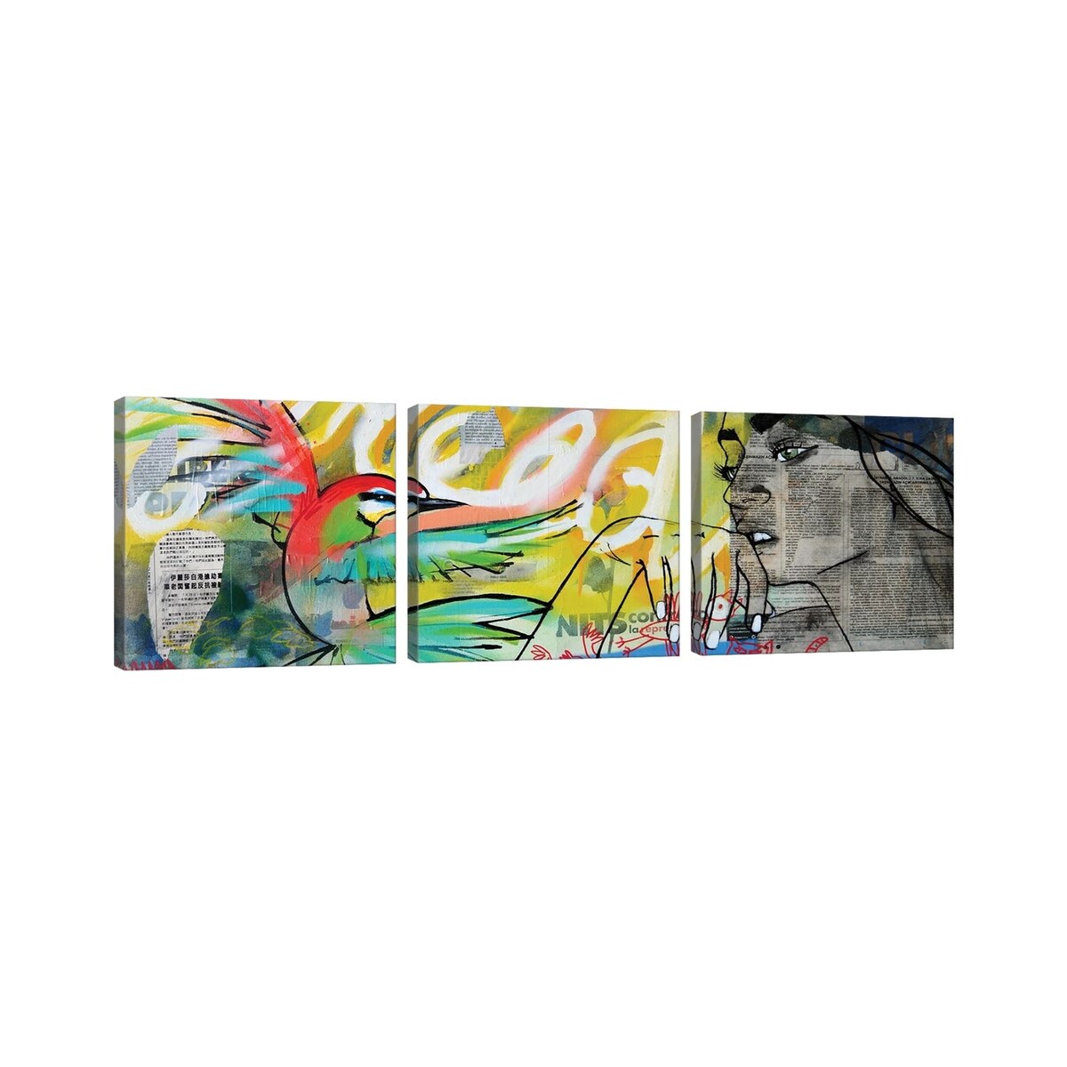 iCanvas "Bee Eater" by Laura Tietjens 3-Piece Wall Art Set
