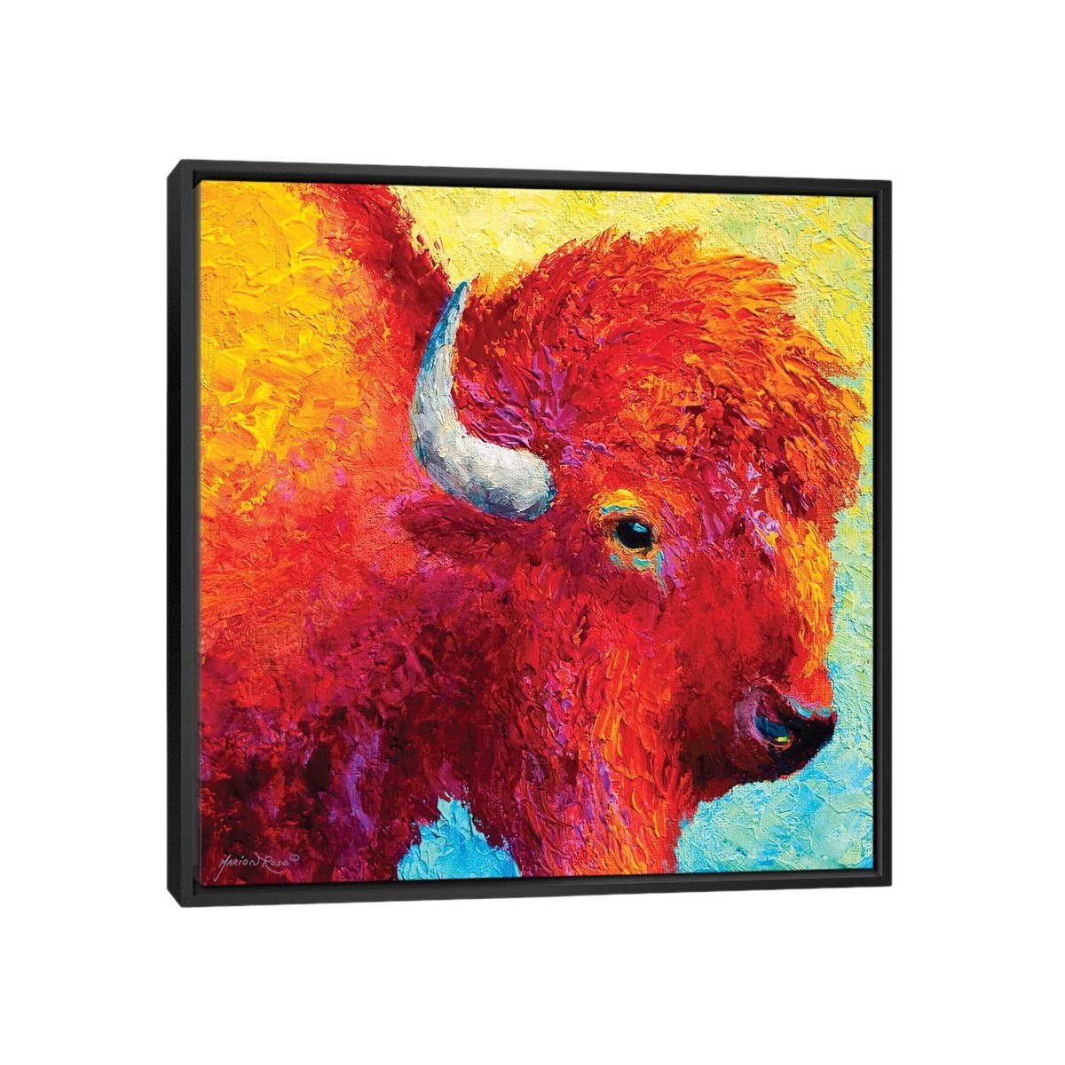 iCanvas "Bison Head IV" by Marion Rose Framed