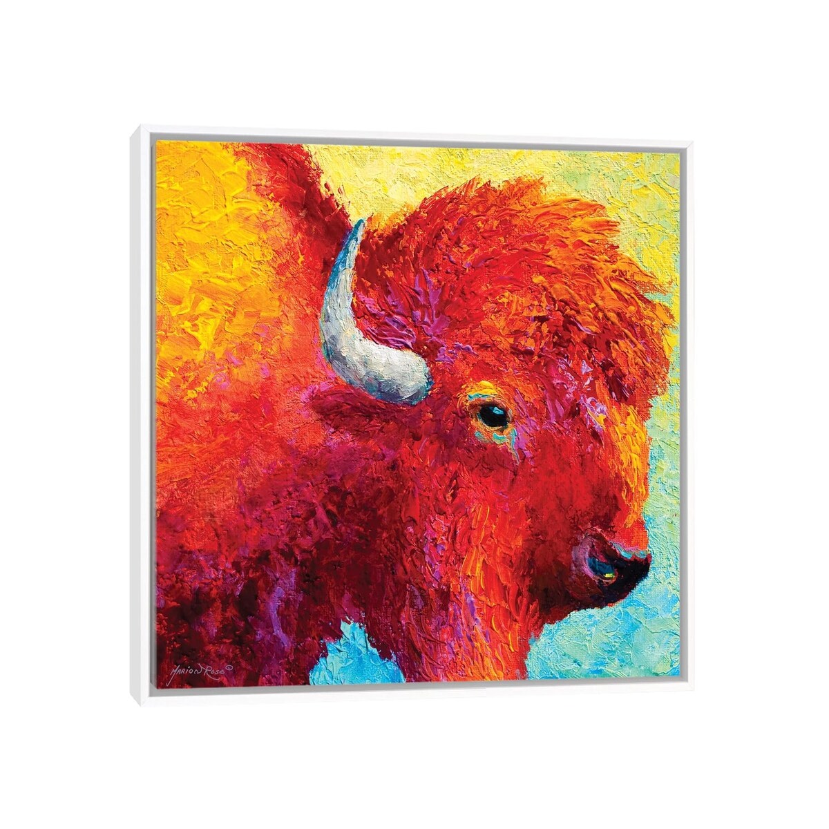 iCanvas "Bison Head IV" by Marion Rose Framed