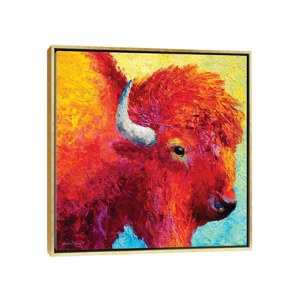 iCanvas "Bison Head IV" by Marion Rose Framed