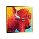iCanvas "Bison Head IV" by Marion Rose Framed
