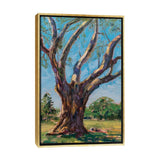 iCanvas "Bixby Park Eucalyptus" by Daniel Gonzalez Framed Canvas Print