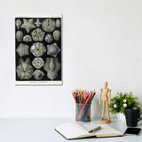 iCanvas "Blastoidea; Various Species Of A Type Of Extinct Stemmed Echinoderm" by Natural History Museum (UK) Canvas Print