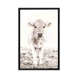iCanvas "Blonde Cattle Maverick White" by Monika Strigel Framed