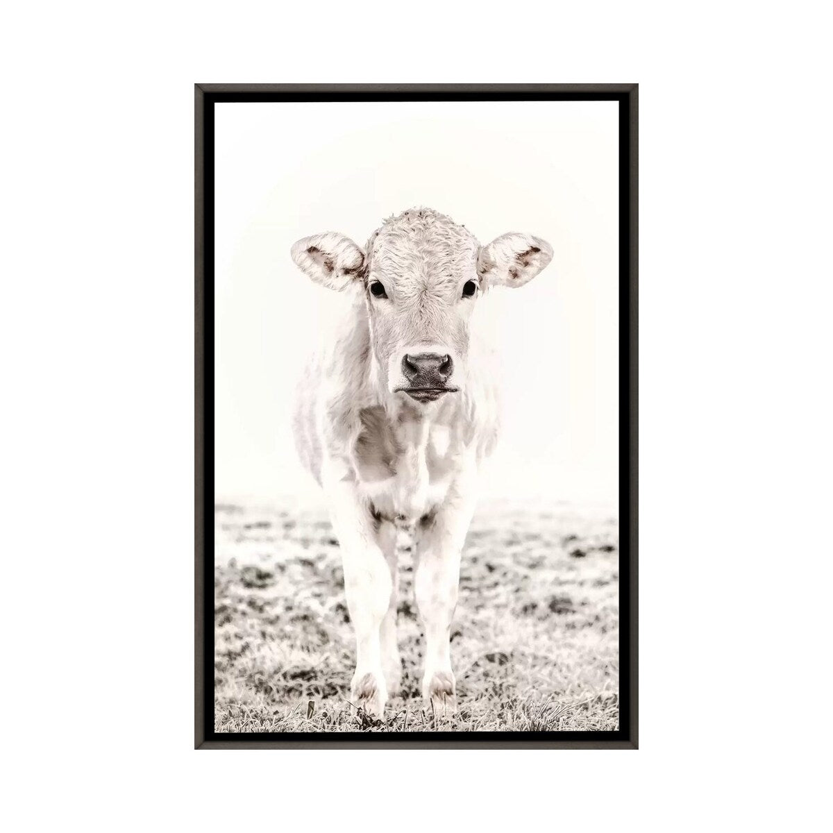 iCanvas "Blonde Cattle Maverick White" by Monika Strigel Framed