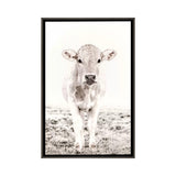 iCanvas "Blonde Cattle Maverick White" by Monika Strigel Framed